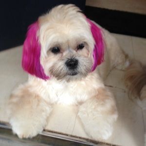 Meet your Posher, Marlo